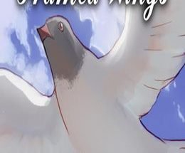 Framed Wings Game Free Download