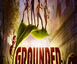 Grounded 11 Grounded