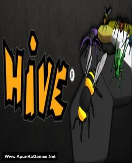 Hive